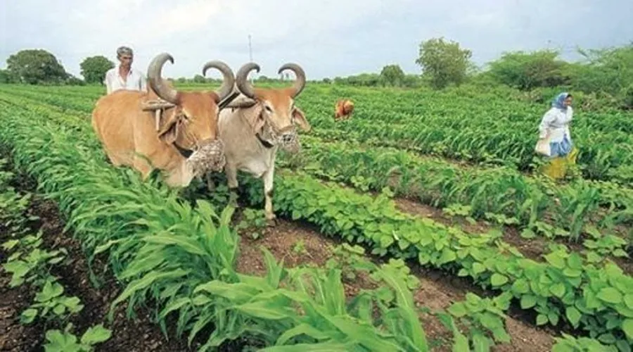 कृषि वानिकी से आएगी समृद्धि