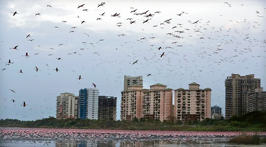 नदियों के बाद अब हवा की गुणवत्ता में सुधार