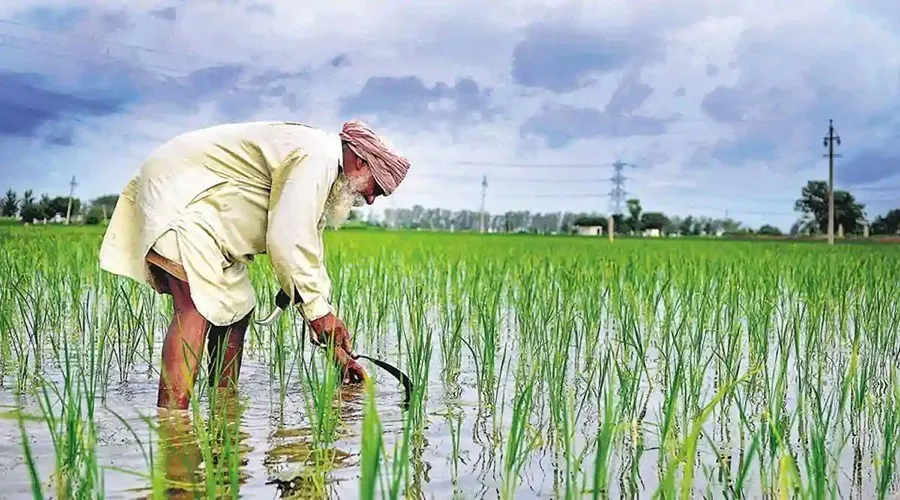 राष्ट्रपति के ग्रामीण-कृषि विकास को दो अध्यादेश जारी 