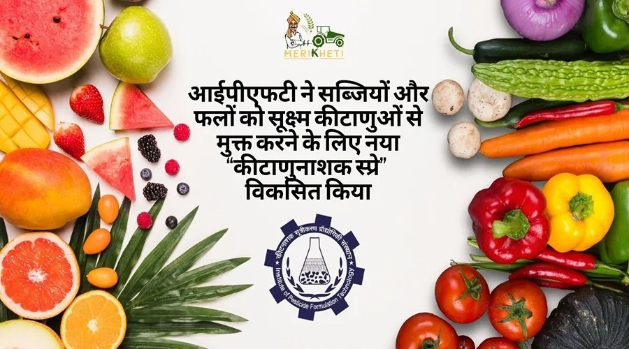 आईपीएफटी ने सब्जियों और फलों को सूक्ष्म कीटाणुओं से मुक्त करने के लिए नया “कीटाणुनाशक स्प्रे” विकसित किया