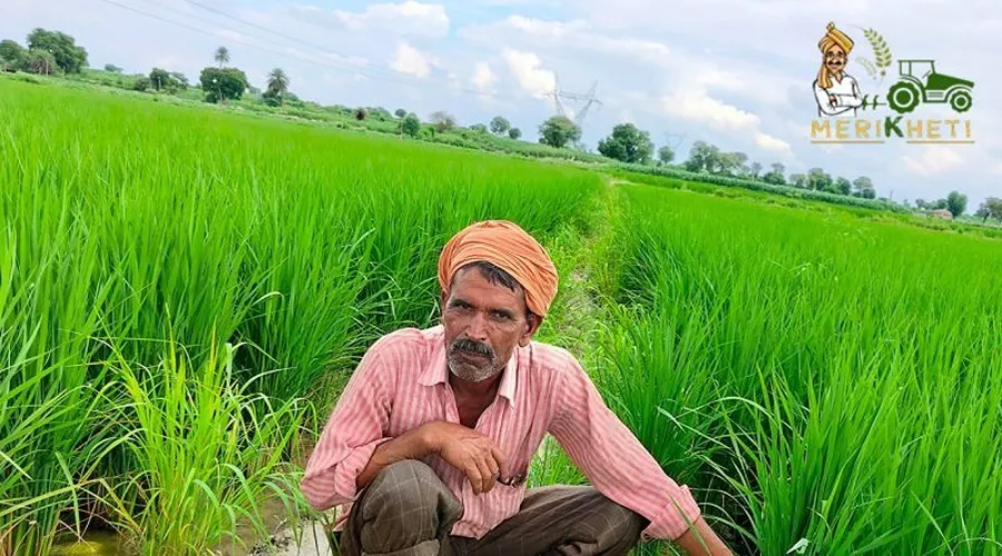 फसलों की उचित कीमत देने में सरकार फेल