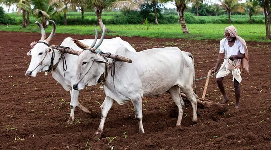 न्यूनतम समर्थन मूल्य के बारे में बेहतर जानें