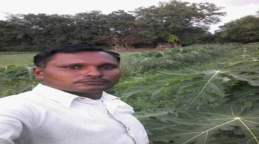 पपीता की खेती ने बदली जिंदगी की राह