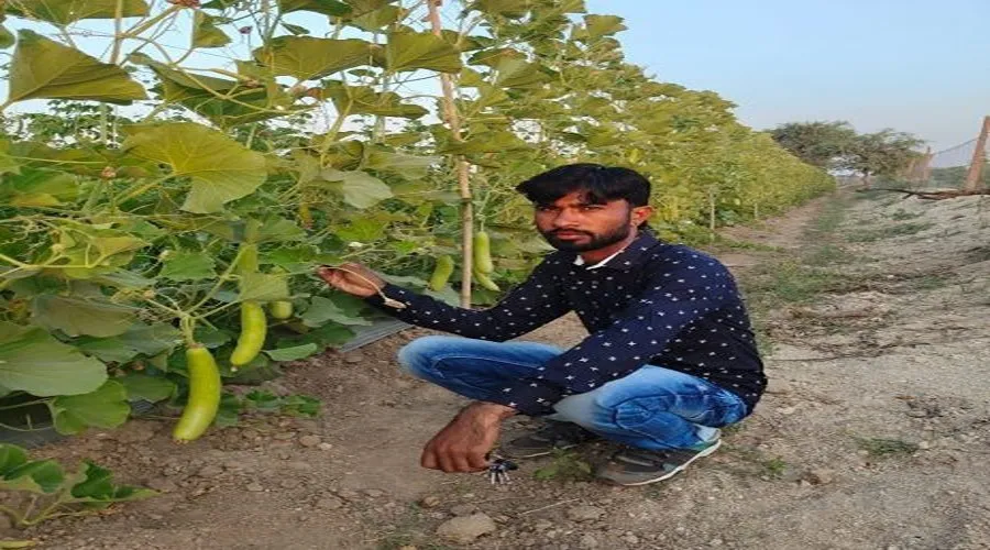 प्रेमसिंह संरक्षित खेती से हुए मालामाल