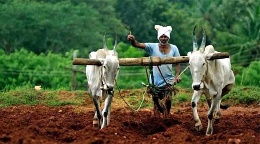 कृषि कानून न बदल दें हरियाली की तस्वीर
