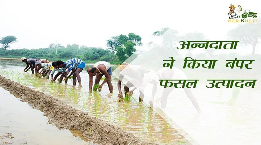 अन्नदाता ने किया बंपर फसल उत्पादन