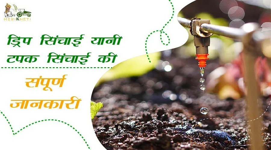 ड्रिप सिंचाई यानी टपक सिंचाई की संपूर्ण जानकारी