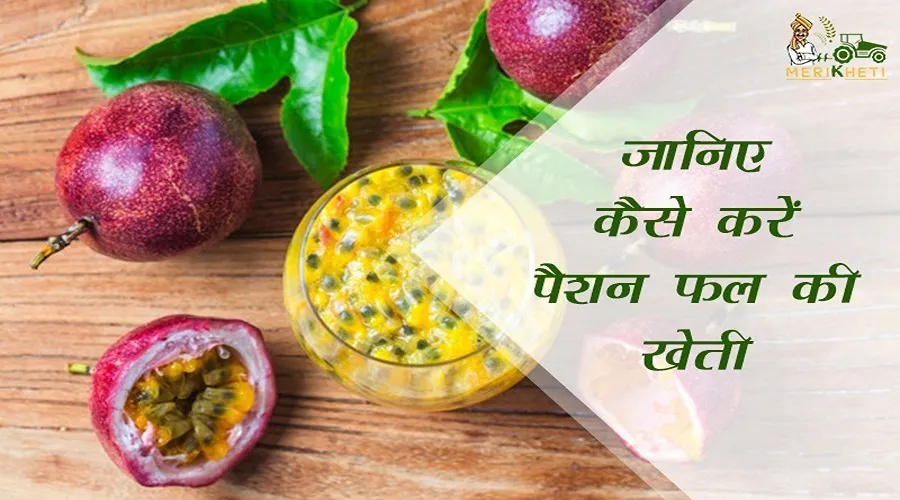 कैसे करें पैशन फल की खेती