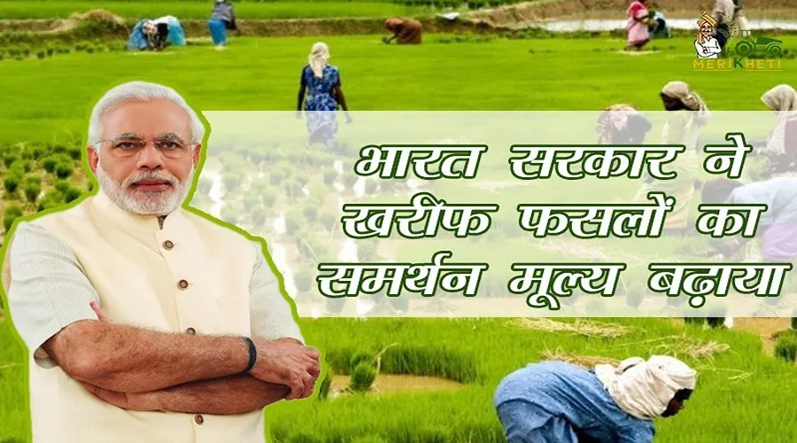 भारत सरकार ने खरीफ फसलों का समर्थन मूल्य बढ़ाया