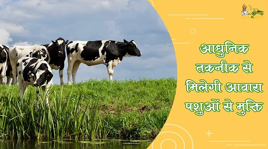 आधुनिक तकनीक से मिलेगी आवारा पशुओं से मुक्ति
