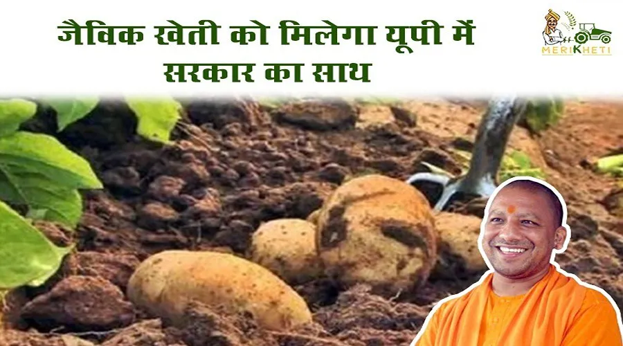 जैविक खेती को मिलेगा यूपी में सरकार का साथ