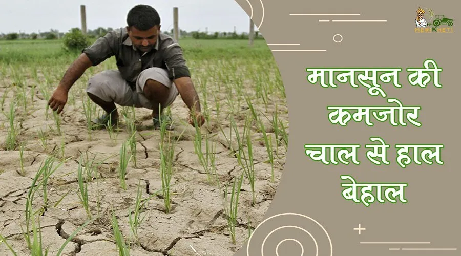 मानसून की कमजोर चाल से हाल बेहाल
