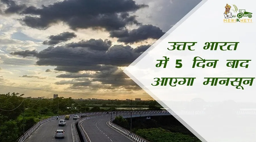 उत्तर भारत में 5 दिन बाद आएगा मानसून