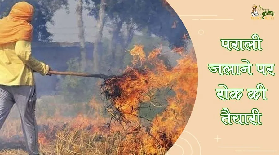 पराली जलाने पर रोक की तैयारी