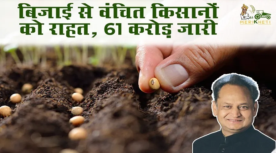 बिजाई से वंचित किसानों को राहत, 61 करोड़ जारी  
