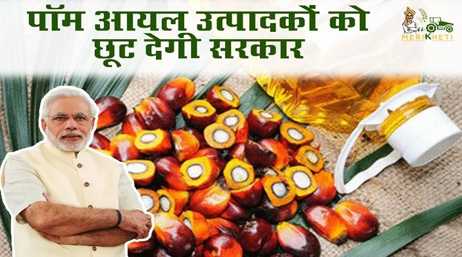 पाम आयल उत्पादकों को छूट देगी सरकार
