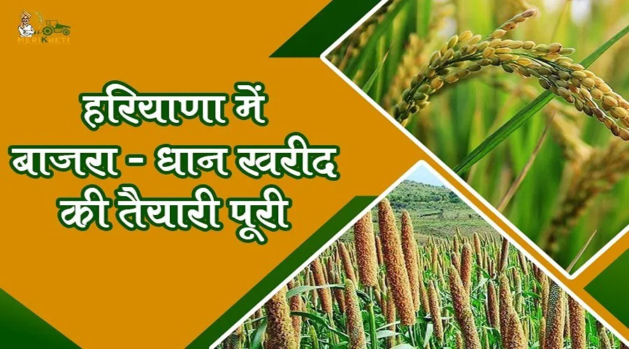 हरियाणा में बाजरा-धान खरीद की तैयारी पूरी