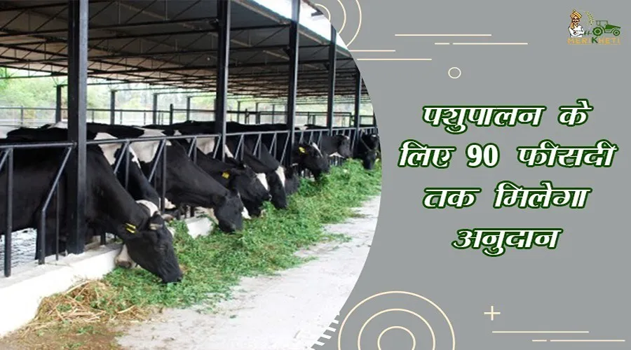 पशुपालन के लिए 90 फीसदी तक मिलेगा अनुदान