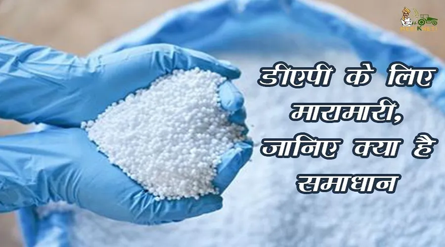 डीएपी के लिए मारामारी,जानिए क्या है समाधान