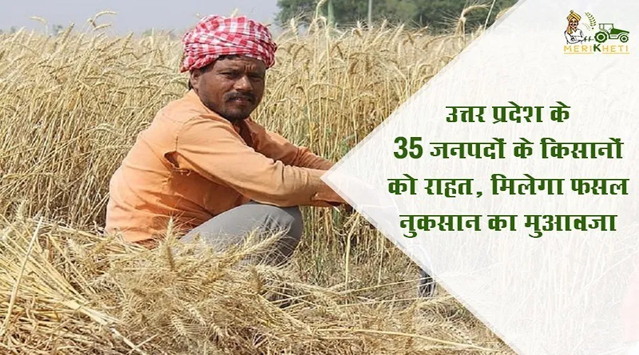उत्तर प्रदेश के 35 जनपदों के किसानों को राहत, मिलेगा फसल नुकसान का मुआवजा