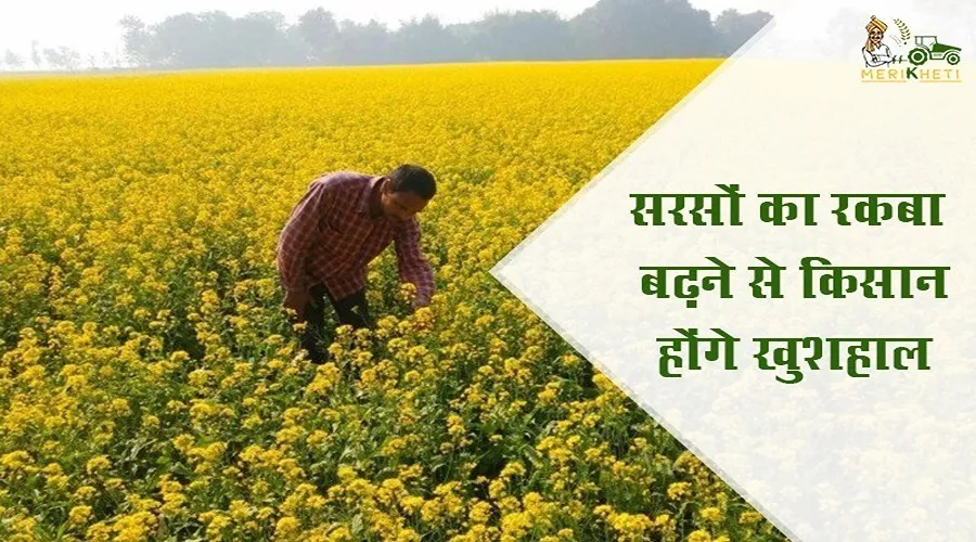 सरसों का रकबा बढ़ने से किसान होंगे खुशहाल