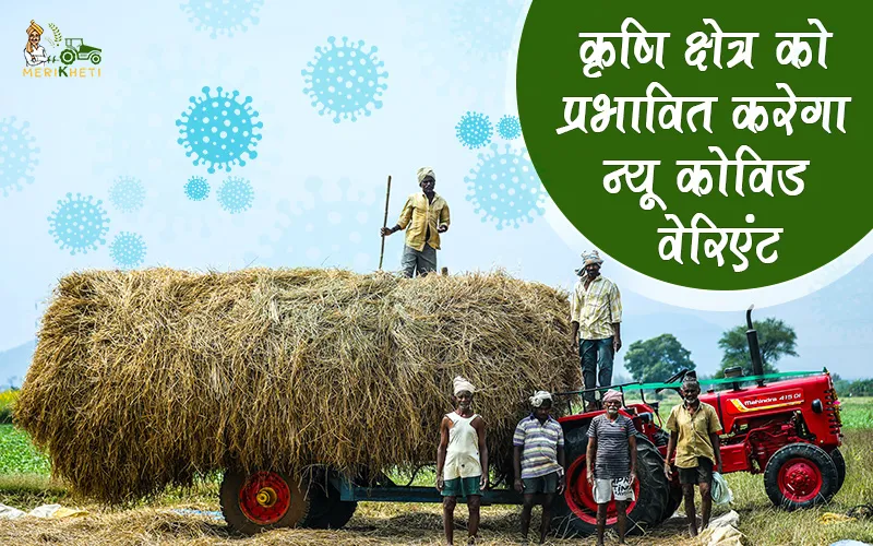 कृषि क्षेत्र को प्रभावित करेगा न्यू कोविड वेरियंट