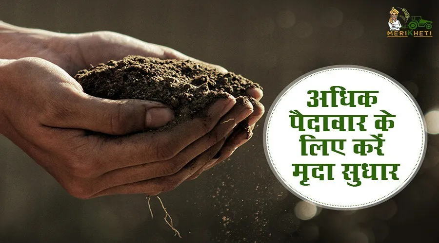 अधिक पैदावार के लिए करें मृदा सुधार