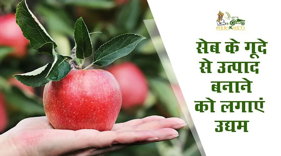 सेब के गूदे से उत्पाद बनाने को लगाएं उद्यम