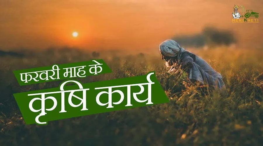 फरवरी के कृषि कार्य: जानिए फरवरी माह में उगाई जाने वाली फसलें
