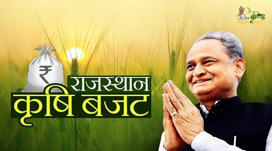 Rajasthan ka krishi budget: किसानों के लिए बहुत कुछ है राजस्थान के कृषि बजट में