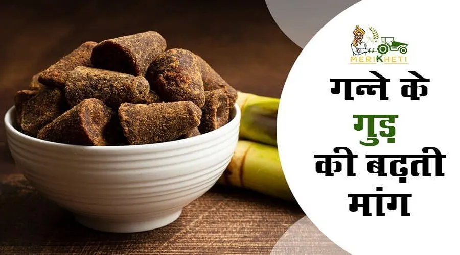 गन्ने के गुड़ की बढ़ती मांग : Ganne Ke Gud Ki Badhti Maang