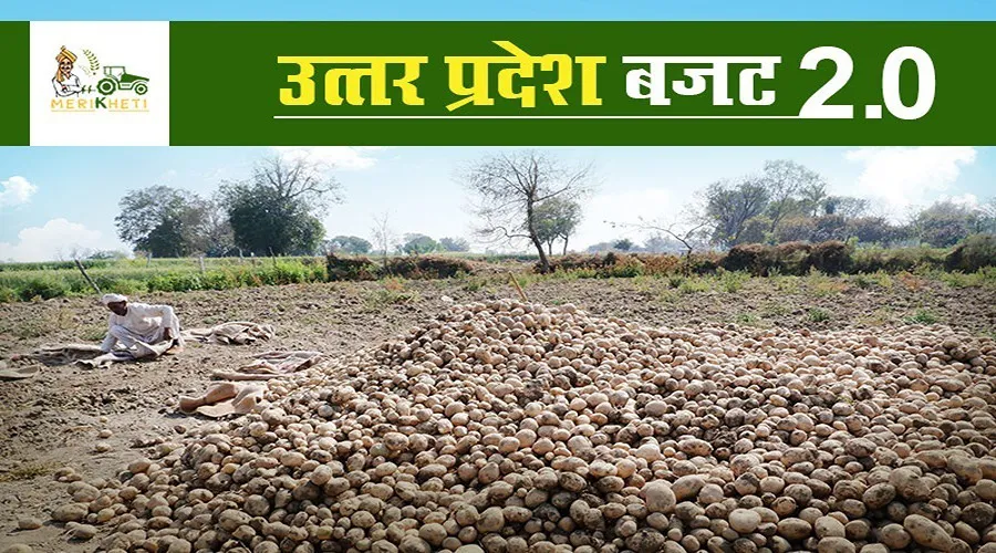 उत्‍तर प्रदेश बजट 2.0 में यू.पी. के किसानों को क्या मिला ?
