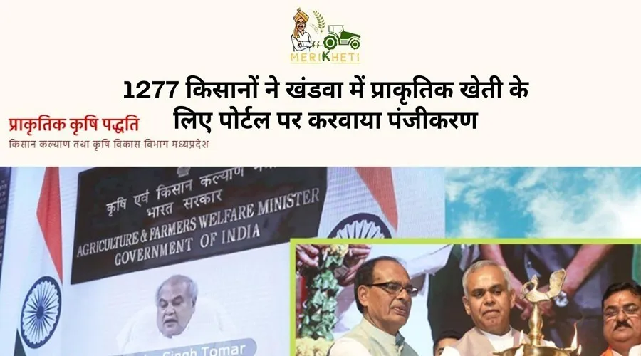 1277 किसानों ने खंडवा में प्राकृतिक खेती के लिए पोर्टल पर करवाया पंजीकरण