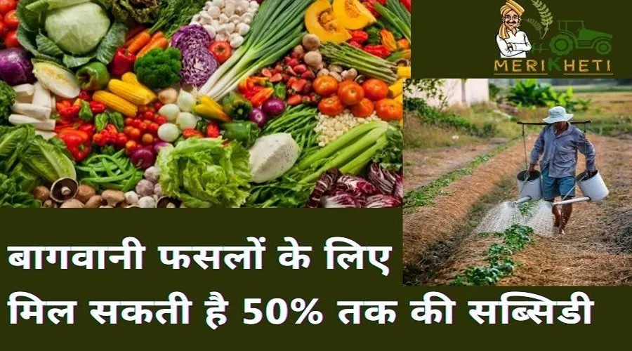 अब सरकार बागवानी फसलों के लिए देगी 50% तक की सब्सिडी, जानिए संपूर्ण ब्यौरा
