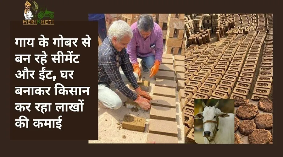 गाय के गोबर से बन रहे सीमेंट और ईंट, घर बनाकर किसान कर रहा लाखों की कमाई