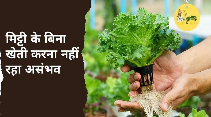 मिट्टी के बिना खेती करना नहीं रहा असंभव : पटना के व्यक्ति ने किया यह संभव