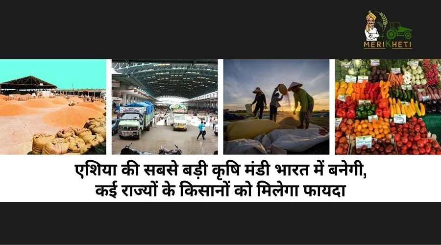 एशिया की सबसे बड़ी कृषि मंडी भारत में बनेगी, कई राज्यों के किसानों को मिलेगा फायदा