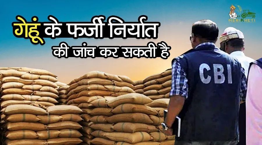 गेहूं के फर्जी निर्यात की जांच कर सकती है सीबीआई