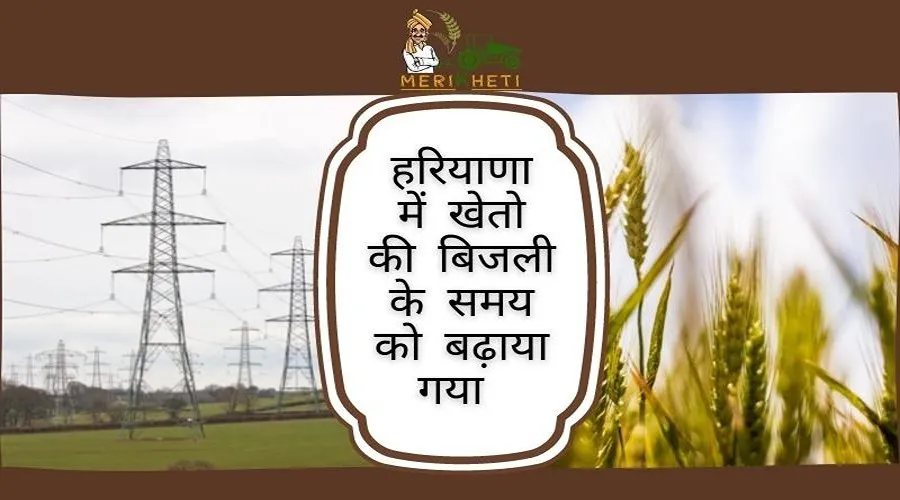हरियाणा में खेतो की बिजली के समय को बढ़ाकर 7 घंटे कर दिया गया है
