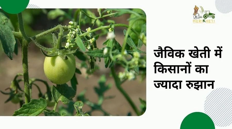 जैविक खेती में किसानों का ज्यादा रुझान : गोबर की भी होगी बुकिंग