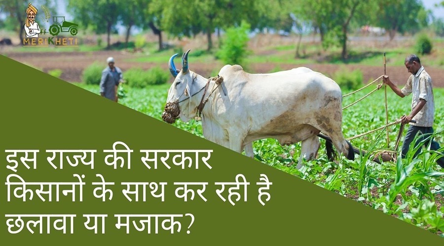 इस राज्य की सरकार किसानों के साथ कर रही है छलावा या मजाक? पढ़िए पूरी खबर