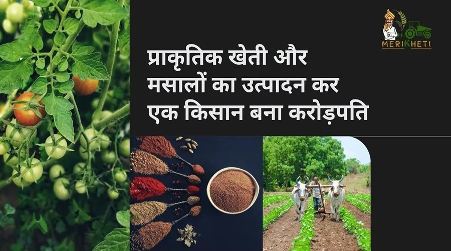 प्राकृतिक खेती और मसालों का उत्पादन कर एक किसान बना करोड़पति