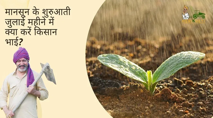 मानसून के शुरुआती जुलाई महीने में किसान भाई क्या करें