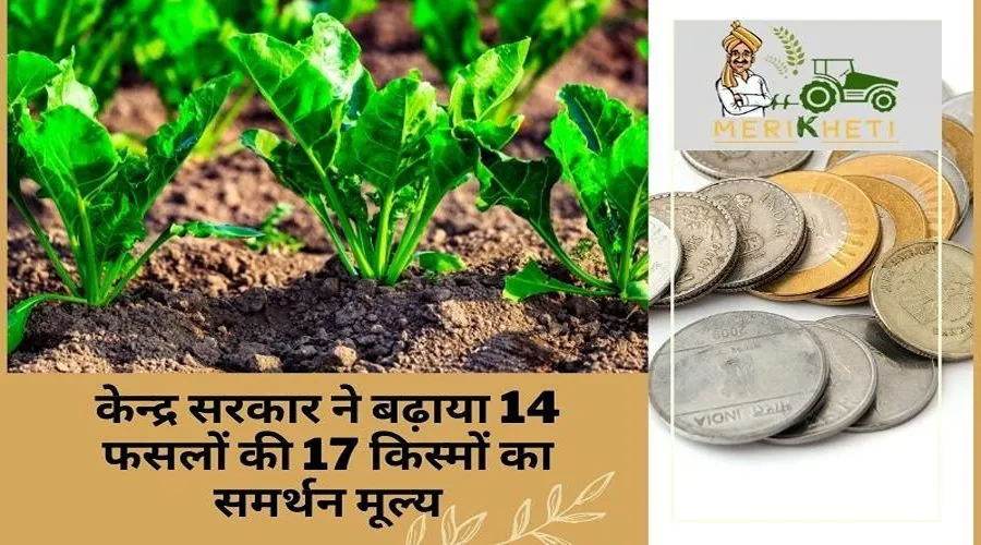 केन्द्र सरकार ने 14 फसलों की 17 किस्मों का समर्थन मूल्य बढ़ाया