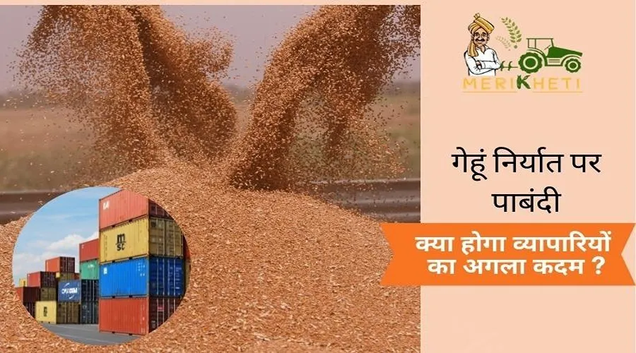 गेहूं निर्यात पर पाबंदी से घबराए व्यापारी, चावल निर्यात के लिए कर रहे बड़ी डील