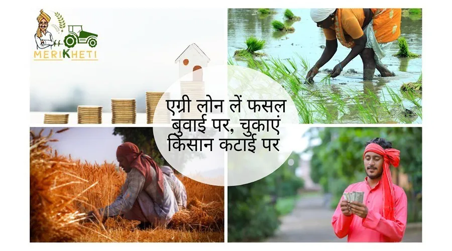 एग्री लोन लें फसल बुवाई पर, चुकाएं किसान कटाई पर : प्रोत्साहन राशि दे रही सरकार उस पर