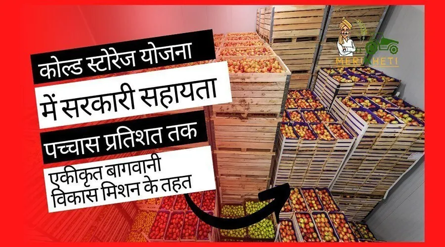 कोल्ड स्टोरेज योजना में सरकारी सहायता पच्चास प्रतिशत तक