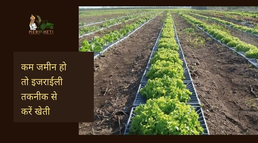 कम जमीन हो तो इजराईली तकनीक से करें खेती, होगी मोटी कमाई