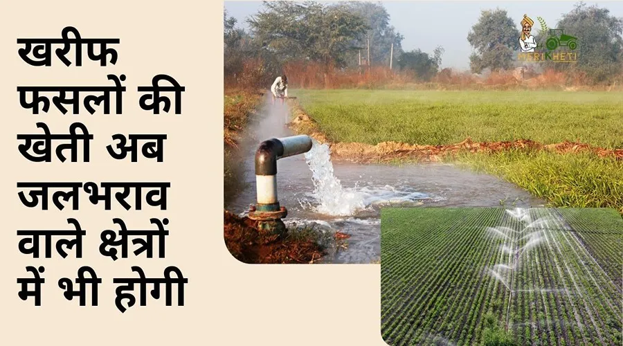 खरीफ फसलों की खेती अब जलभराव वाले क्षेत्रों में भी होगी, कृषि मंत्री ने किसानों को दिया आश्वासन