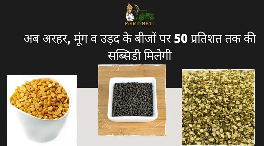 किसानों के लिए खुशी की खबर, अब अरहर, मूंग व उड़द के बीजों पर 50 प्रतिशत तक की सब्सिडी मिलेगी
